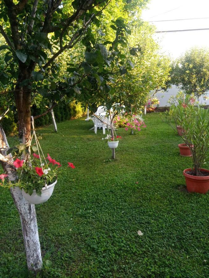 Apartmani Jasmina 2 Біхач Екстер'єр фото